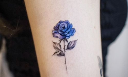 Fine Line Blue Rose