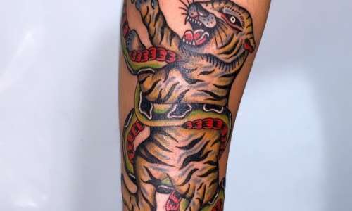 Traditional Tiger Snake