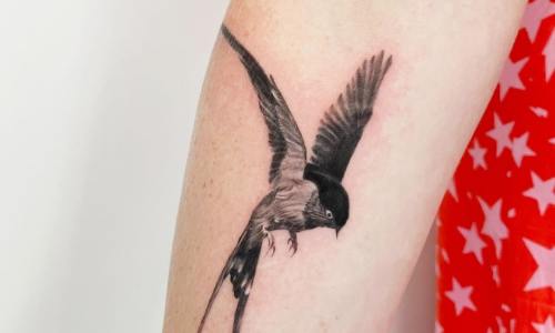 Realistic Swallow