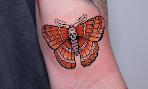 Colorful Moth