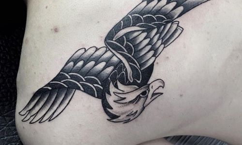 Traditional Eagle