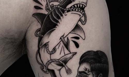 Traditional Shark