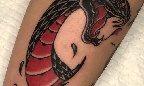 Traditional Snake