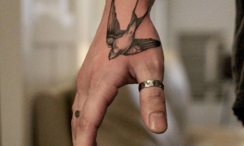 Fine Line Swallow