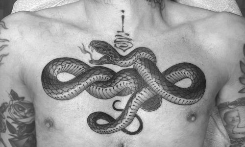 Traditional Snake