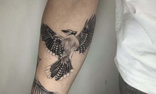 Fine Line Bird