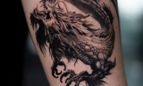 Fine Line Dragon
