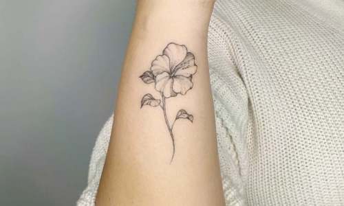 Petunia