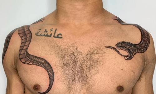 Collar Snake