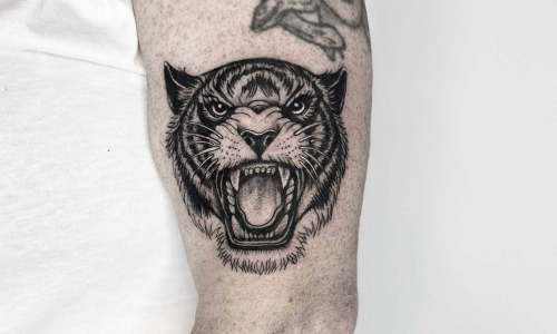 Fine Line Tiger