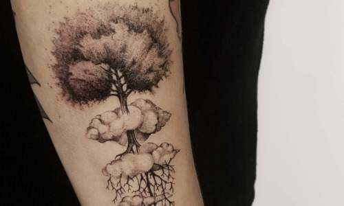 fine Line Tree Roots