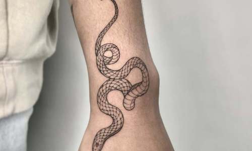 Fine Line Snake Slither