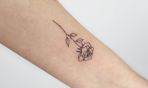 Fine Line Rose