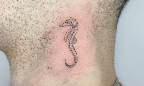 Minimal Seahorse