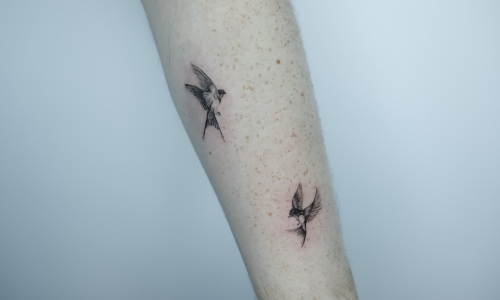 Micro Hummingbirds